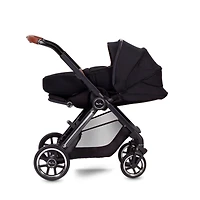 Reef Newborn Pod - Orbit