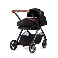 Reef Newborn Pod - Orbit