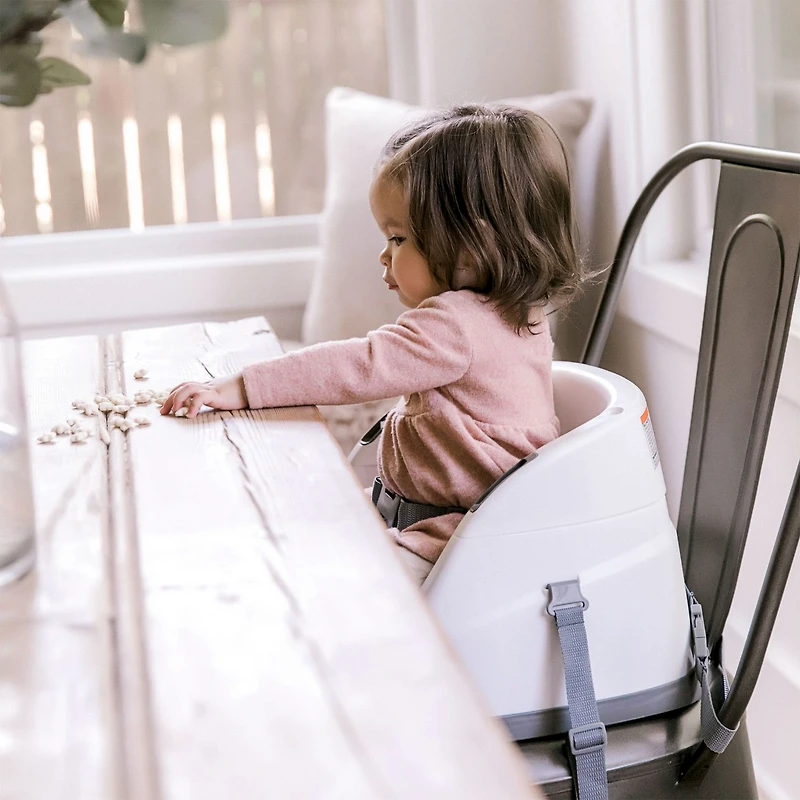 Baby Base 2-in-1 Seat - Slate