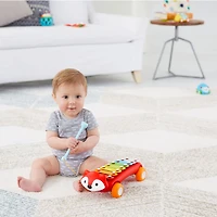 Explore and More Fox Xylophone