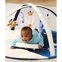 Celestial Dreams Activity Gym