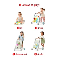 4 in 1 Activity Walker
