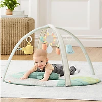 Garden Oasis Activity Gym