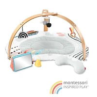 Montessori Inspired Play Gym