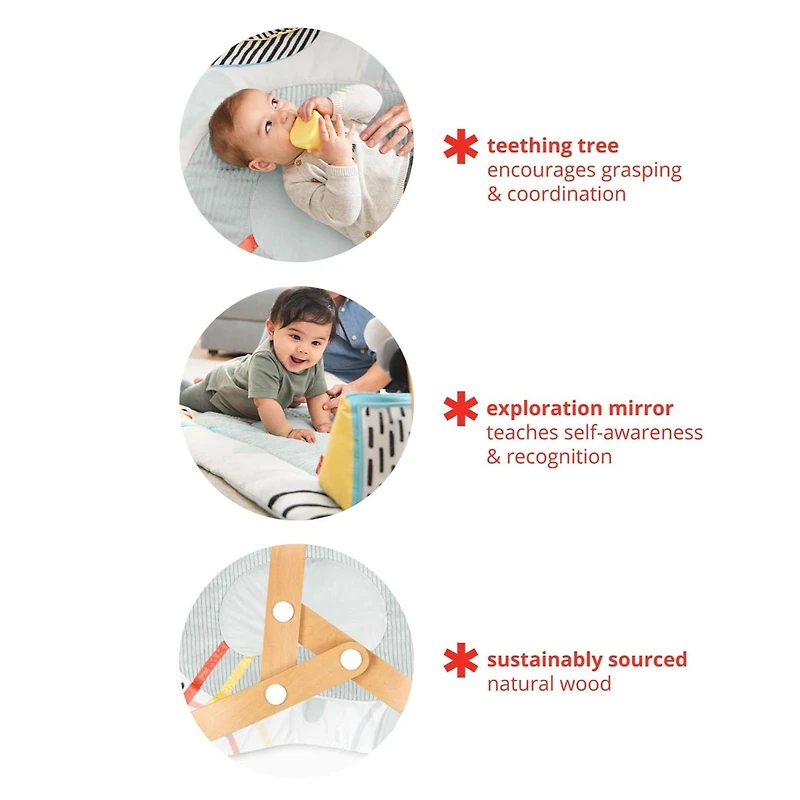Montessori Inspired Play Gym