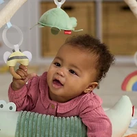 Geometric Wonders Baby Play Gym