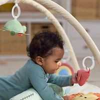 Geometric Wonders Baby Play Gym