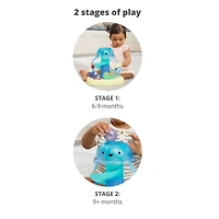 Seascape Musical Activity Ball Drop