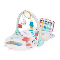Painted Dreams 4-in-1 Developmental Baby Play Gym