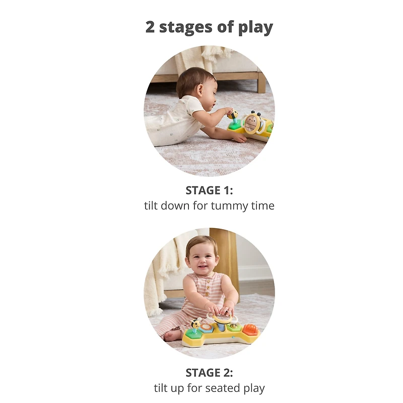 Farmstand See & Bee Steering Wheel & Tummy Time Baby Toy