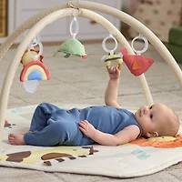 Geometric Wonders Activity Gym