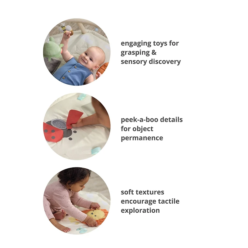 Geometric Wonders Activity Gym