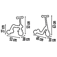Reversible 2 in 1 Scooter