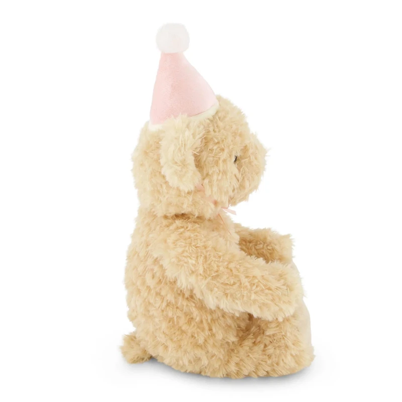 Birthday Arthur Bear Fairy