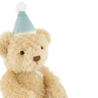 Birthday Arthur Bear Sky
