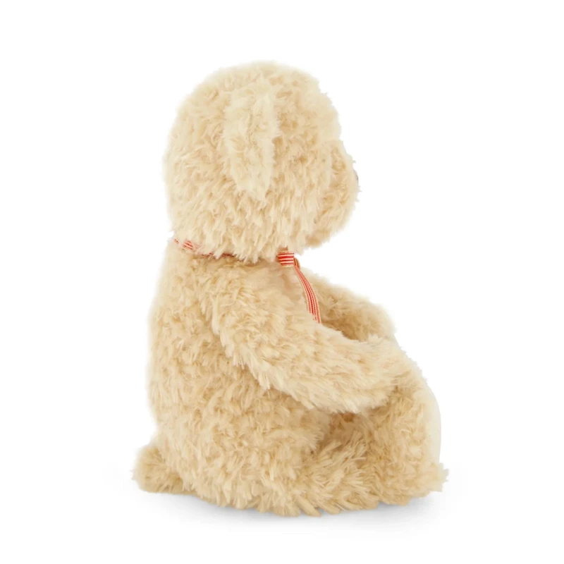 Birthday Arthur Bear Red Strip