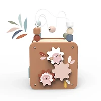 5-in-1 Activity Cube