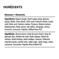Bonbons Dinosurets VégétaliEnsemble 100g