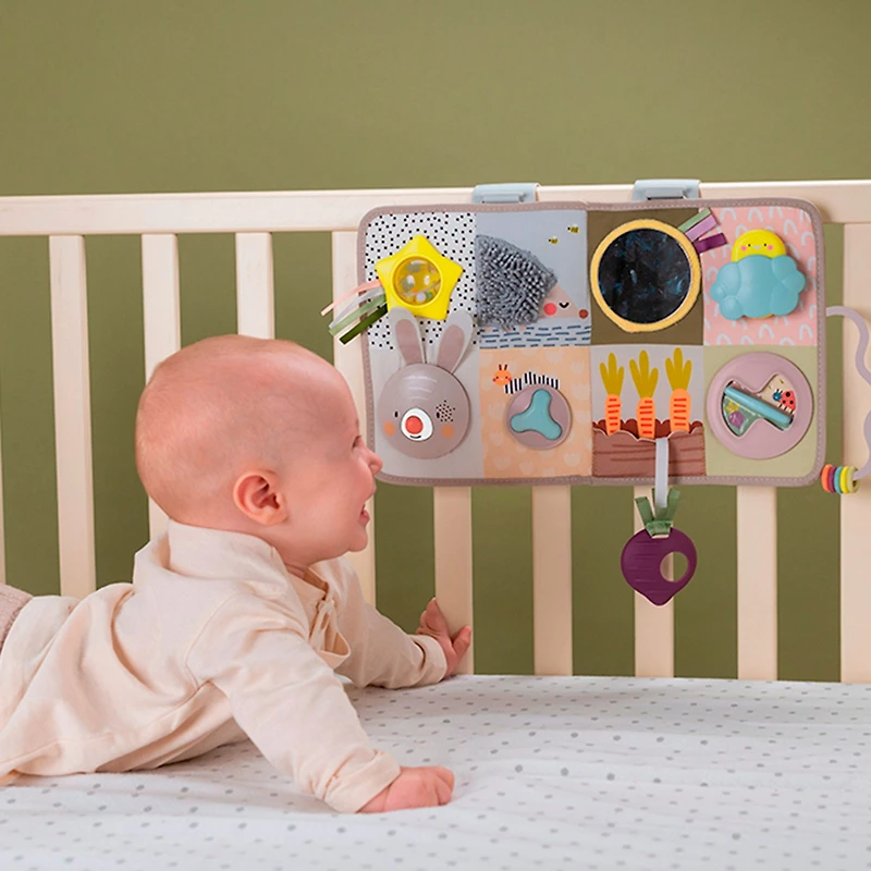 Developmental Activity center