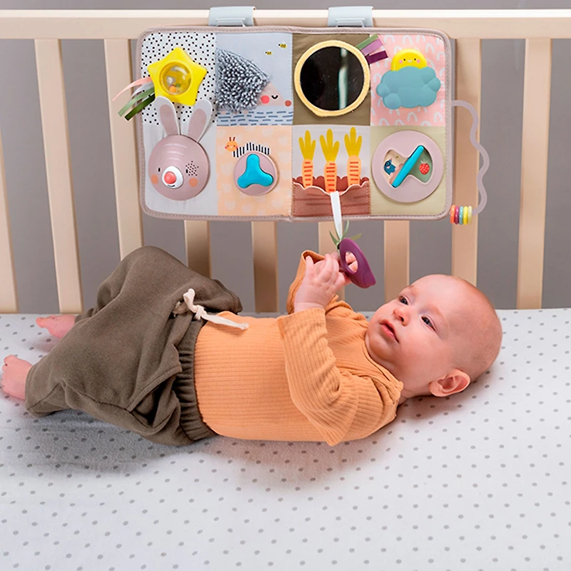 Developmental Activity center