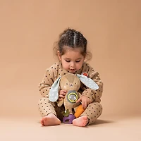 Jenny Activity Toy