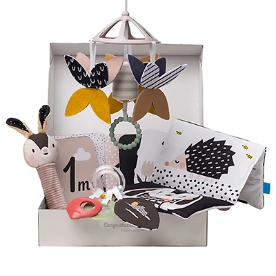 Newborn Black & White Kit 10 Pieces