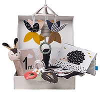 Newborn Black & White Kit 10 Pieces