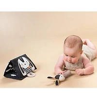 Newborn Black & White Kit 10 Pieces