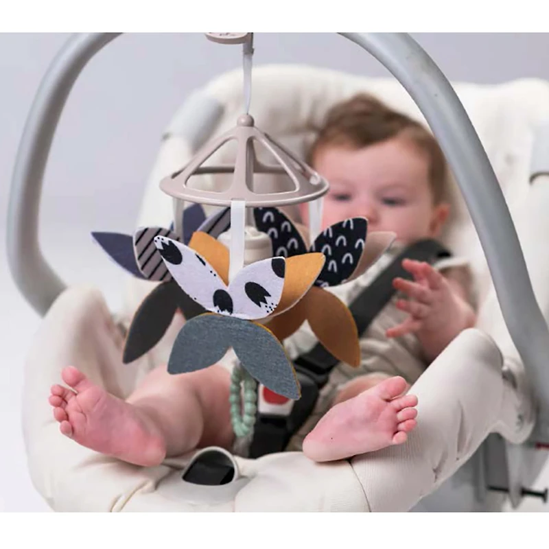 Newborn Black & White Kit 10 Pieces