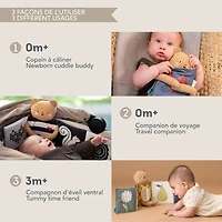 Livre Câlin Avec Ourson
