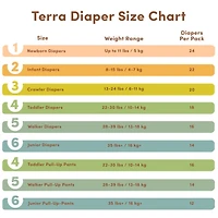 Eco Diapers Size 3 Crawler - 13-24 lbs