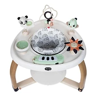 5-in-1 Activity Center - Black & White