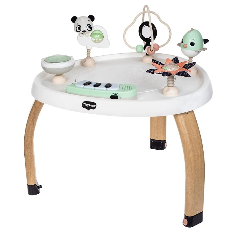 5-in-1 Activity Center - Black & White