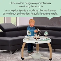 5-in-1 Activity Center - Black & White