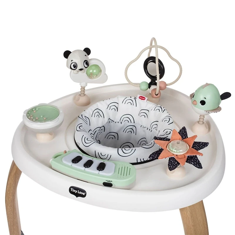 5-in-1 Activity Center - Black & White