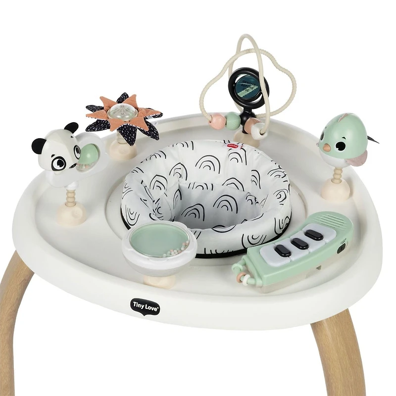 5-in-1 Activity Center - Black & White