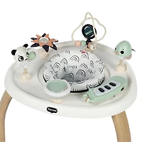 5-in-1 Activity Center - Black & White