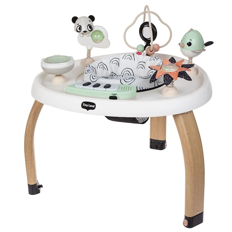 5-in-1 Activity Center - Black & White