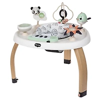 5-in-1 Activity Center - Black & White