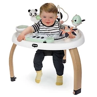 5-in-1 Activity Center - Black & White