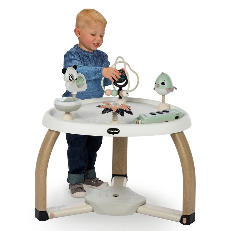 5-in-1 Activity Center - Black & White