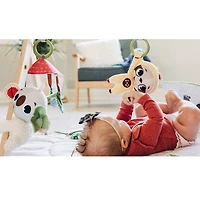 Boho Chic Luxe Developmental Gymini