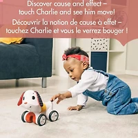 Chien Musical/Rotatif Tiny Rocker