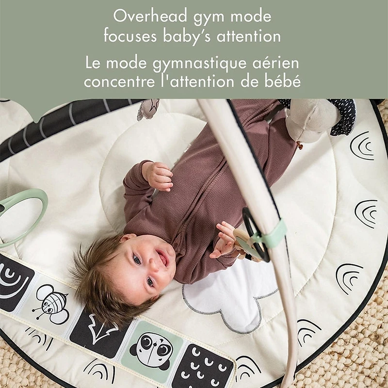 Black & White Décor Developmental Gymini