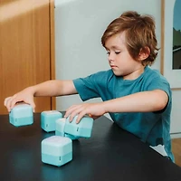 Jeu De Mémoire (Français)