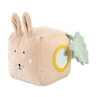 Activity Cube Mrs Rabbit