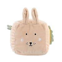 Activity Cube Mrs Rabbit
