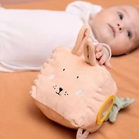 Activity Cube Mrs Rabbit