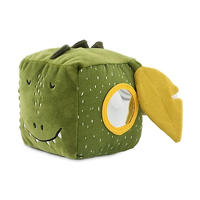 Activity Cube Mr Dino