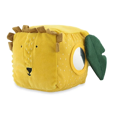 Activity Cube Mr Lion